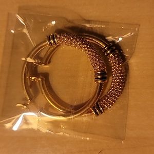 Earrings 18k Gold Overlay Egyptian hoop earrings